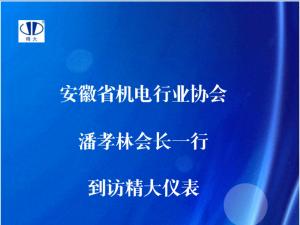 安徽省機電行業(yè)協(xié)會(huì )潘孝林會(huì )長(cháng)一行到訪(fǎng)精大儀表