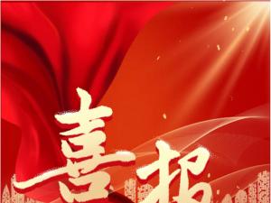喜報！精大儀表被認定為 合肥市大數據企業(yè)